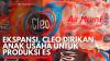 Ekspansi, CLEO Dirikan Anak Usaha untuk Produksi Es. (Sumber : IDX Channel)