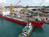 Pertamina Trans Kontinental Kempit Laba Rp1,05 Triliun di 2023 (foto web pertamina trans kontinental)