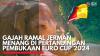 Gajah Ramal Jerman Menang di Pertandingan Pembukaan Euro Cup 2024. (Sumber : IDX Channel)