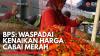 BPS: Waspadai Kenaikan Harga Cabai Merah,(Sumber: IDX CHANNEL)