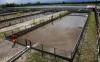 Terancam Delisting, Inti Agri (IIKP) Sebut Perusahaan Nyaris Lumpuh. (Foto: Ist)