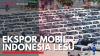 Ekspor Mobil Indonesia Lesu. (Sumber : IDX Channel)