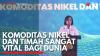 Komoditas Nikel dan Timah Sangat Vital bagi Dunia. (Sumber : IDX Channel)