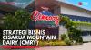 Strategi Bisnis Cisarua Mountain Dairy (CMRY), (Sumber: IDX CHANNEL)