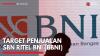 Target Penjualan SBN Ritel BNI (BBNI),(Sumber: IDX CHANNEL)