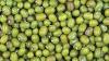 Kisah Sukses Pengusaha Makanan Ringan, Jadi Pelopor Snack Kacang Hijau di Indonesia. (Foto: Dinas Pertanian Kulon Progo)