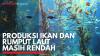Produksi Ikan dan Rumput Laut Masih Rendah. (Sumber : IDX Channel)