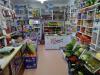 10 Tips Membangun Warung Sembako Kekinian agar Dapat Bersaing dengan Minimarket. (Foto: MNC Media)