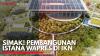 Simak! Pembangunan Istana Wapres di IKN. (Sumber : IDX Channel)