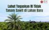 Luhut Tegaskan RI Tidak Tanam Sawit di Lahan Baru