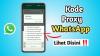 Host Proxy WhatsApp Diisi Apa? Cek Jawabannya. (Foto: MNC Media)