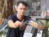 Berawal dari Hobi, Pemuda ini Budidaya Lobster dan Raup Rp30 Juta per Bulan. (Foto: MNC Media)