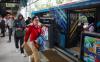 Dorong Pertumbuhan Ekonomi Kawasan Aglomerasi, Transjakarta Tambah Enam Rute Baru di Koridor 13