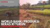 World Bank: Produksi Beras RI Turun. (Sumber : IDX Channel)
