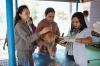 Australia Dukung Pemberantasan Wabah Rabies di Bali dan NTT. (Foto: Australian Embassy Jakarta)