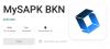 13 Langkah Login My SAPK BKN via Website Menggunakan Ponsel dan Laptop. (FOTO: MNC MEDIA)