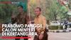 Prabowo Panggil Calon Menteri di Kertanegara,(Sumber: IDX CHANNEL)