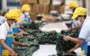 Pemerintah sudah seharusnya mengambil langkah konkret, mengingat badai pemutusan hubungan kerja (PHK) massal terjadi di industri tekstil dalam negeri.
