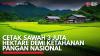 Cetak Sawah 3 Juta Hektare Demi Ketahanan Pangan Nasional. (Sumber : IDX Channel)