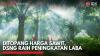 Ditopang Harga Sawit, DSNG Raih Peningkatan Laba,(Sumber: IDX CHANNEL)