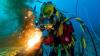 Gaji Welder Underwater, Peluang Karir Menjanjikan di Dunia Laut. (Foto: Gaji Welder Underwater)