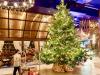 6 Pohon Natal Termahal di Dunia, Ada yang Terbuat dari Emas Batangan. (Foto: MNC Media)
