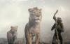 Mufasa: The Lion King Menempati Posisi Kedua di Box Office Korea (FOTO:Dok Variety)