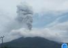 Gunung Lewotobi Laki-Laki Kembali Erupsi, Semburkan Abu Vulkanik Setinggi 2.000 Meter (Foto: dok PVMBG)