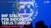 IMF Sebut PDB Indonesia Terus Tumbuh,(Sumber: IDX CHANNEL)