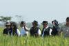 Jelang Panen Raya, Bulog Siapkan Tim Jemput Gabah dari Petani. (Foto: MNC Media)