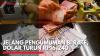 Jelang Pengumuman BI Rate, Dolar Turun Rp16.240,(Sumber: IDX CHANNEL)
