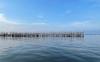 Pemprov DKI Jakarta memastikan pekerjaan pagar laut dari bambu dekat Pulau C Reklamasi, Jakarta Utara telah dihentikan.