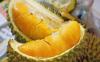 Indonesia Impor 29,8 Ton Durian pada Desember 2024, Paling Banyak dari Malaysia (FOTO:MNC Media)