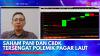 Saham PANI dan CBDK Tersengat Polemik Pagar Laut,(Sumber: IDX CHANNEL)