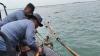 Denda Pagar Laut Tangerang Rp18 Juta per Km Dinilai Terlalu Ringan dan Murah. (Foto MNC Media)