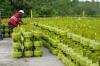 Ternyata Segini Harga Gas LPG 3 Kg dari Distributor. (Foto: MNC Media) 