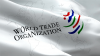 RI Siap Kawal Reformasi WTO pada Maret 2026, Airlangga: Wajib Capai Hasil Lebih Baik. (Foto Istimewa)