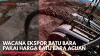 Wacana Ekspor Batu Bara Pakai Harga Batu Bara Acuan,(Sumber: IDX CHANNEL)