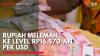 Rupiah Melemah ke Level Rp16.570-an per USD,(Sumber: IDX CHANNEL)