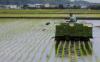Inilah Kisah Sosok Petani di Indonesia yang Punya 30 Hektare Sawah di Jepang. (Foto: MNC Media)  