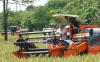 Presiden Prabowo Subianto mengendarai sendiri alat panen padi modern Combine Harvester. (YouTube Setpres)