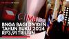 BNGA Bagi Dividen Tahun Buku 2024 Rp3,91 Triliun,(Sumber: IDX CHANNEL)
