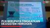 PLN Berupaya Tingkatkan Ekosistem Hidrogen,(Sumber: IDX CHANNEL)