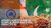 Apindo Soroti Dampak Konflik India-Pakistan pada CPO RI. (Sumber : IDX Channel)