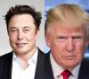 Saham Tesla Anjlok di Tengah Pertikaian Elon Musk-Donald Trump. (Foto: Inews Media Group)