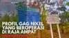 Profil Gag Nikel yang Beroperasi di Raja Ampat,(Sumber: IDX CHANNEL)
