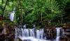 6 Tempat Wisata di Trawas yang Lagi Hits, Cocok untuk Healing. (Foto: dok. Perhutani)