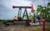 Pertamina EP dan RH Petrogas menyatakan kesiapannya untuk melakukan pengembangan dan eksplorasi sumur minyak baru.