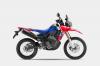 Dijual Mulai Rp80 Jutaan, Ini Spesifikasi Honda CRF250 Series yang Meluncur di Indonesia. Foto: Honda.