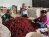 BRI (BBRI) Salurkan Pembiayaan ke Koperasi Penyuplai Bahan Pangan MBG (FOTO:Dok BBRI)